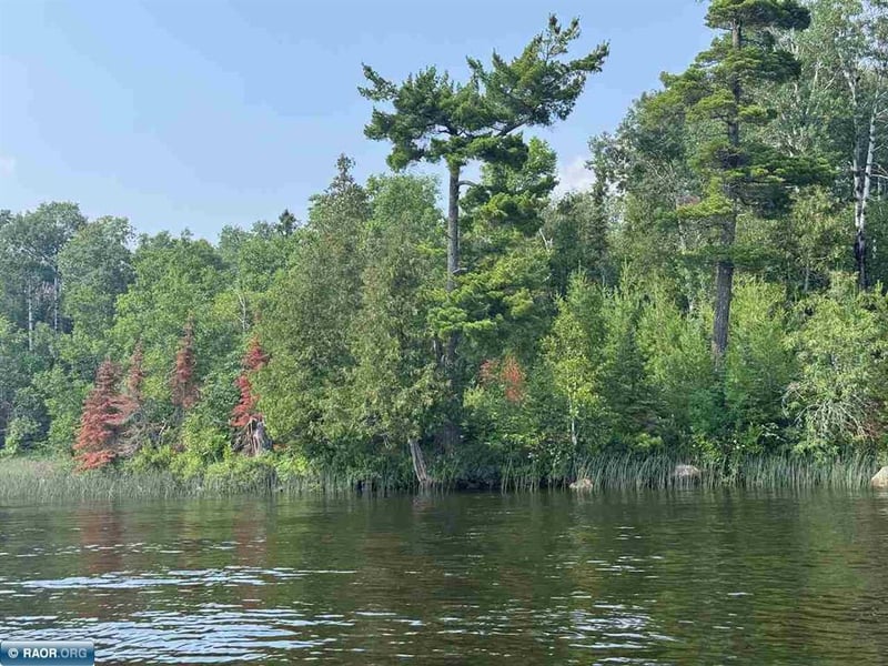 TBD Lake Vermilion N, Tower, MN 55790