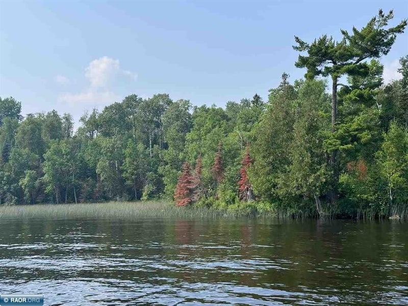 TBD Lake Vermilion N, Tower, MN 55790