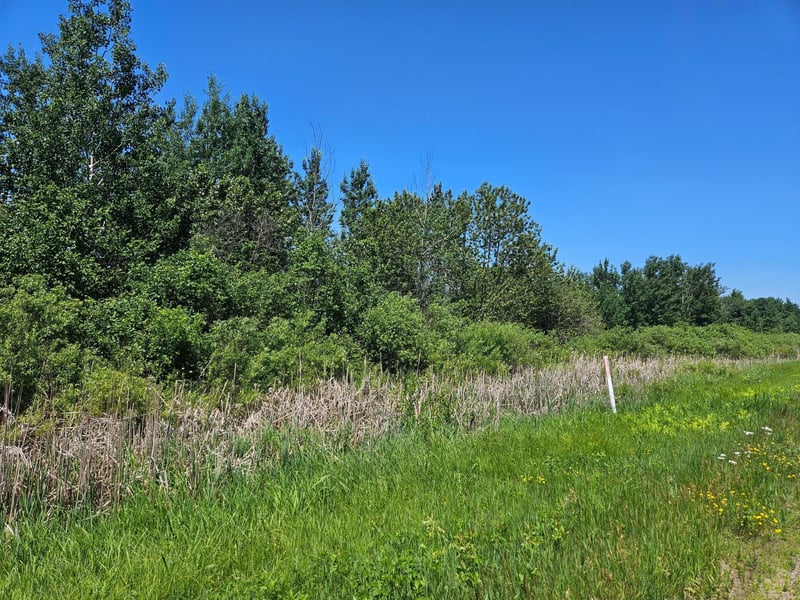 xxx County Road 32, Aitkin, MN 56431