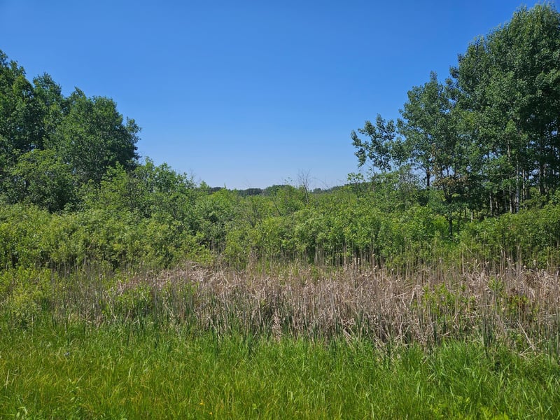 xxx County Road 32, Aitkin, MN 56431