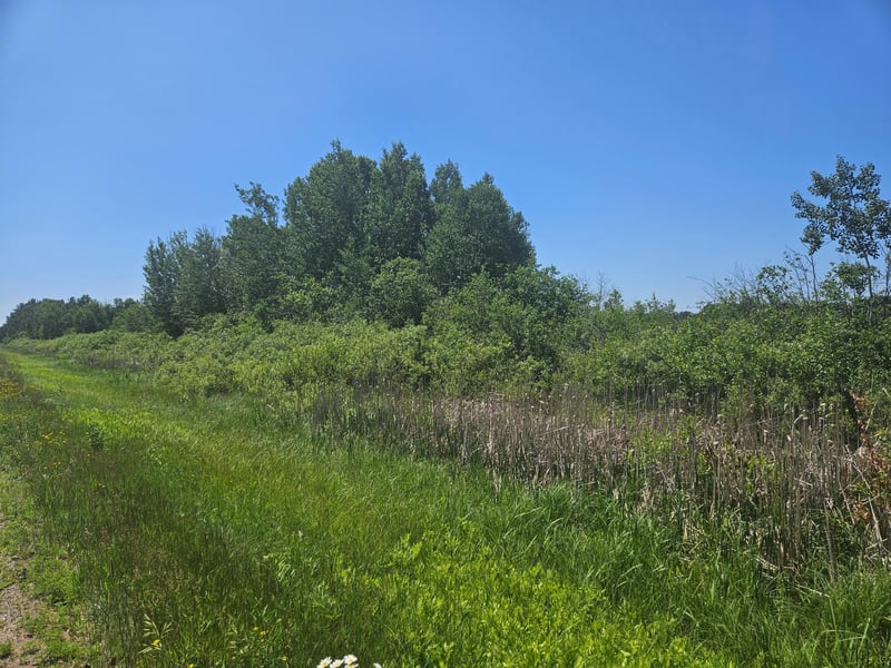 xxx County Road 32, Aitkin, MN 56431