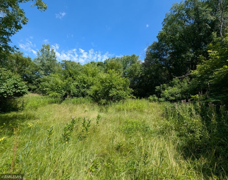 23561 Holly Dr, Long Prairie, MN 56347
