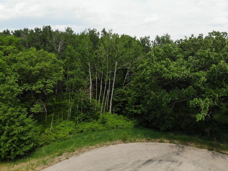 TBD Stony Hills Ln, Perham, MN 56573