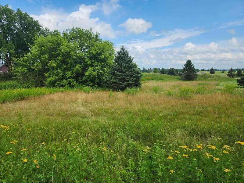 TBD 20 1/2 St, Rice Lake, WI 54868