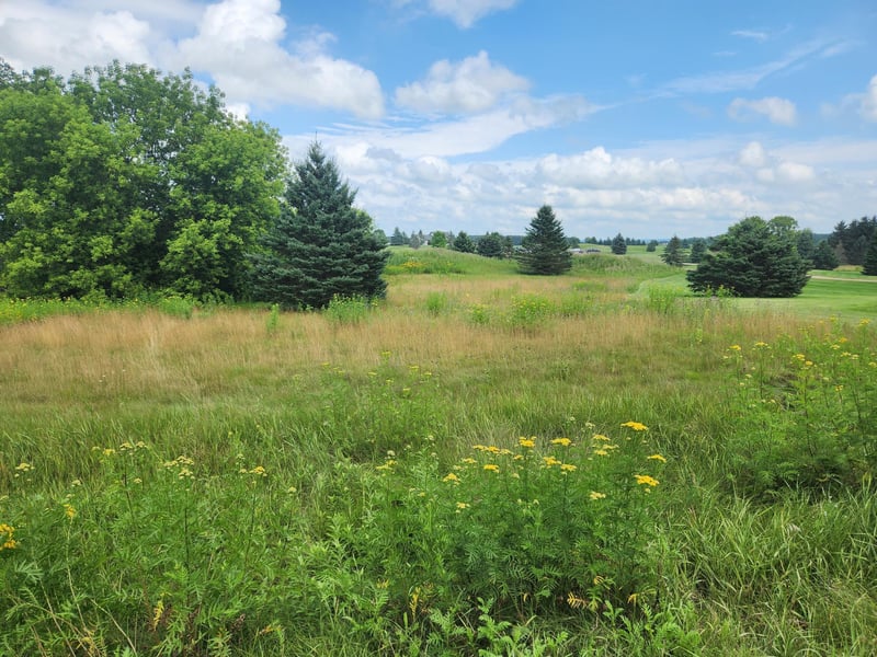 TBD 20 1/2 St, Rice Lake, WI 54868