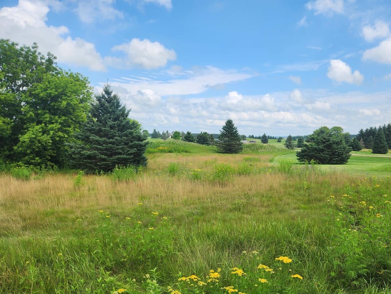 TBD 20 1/2 St, Rice Lake, WI 54868