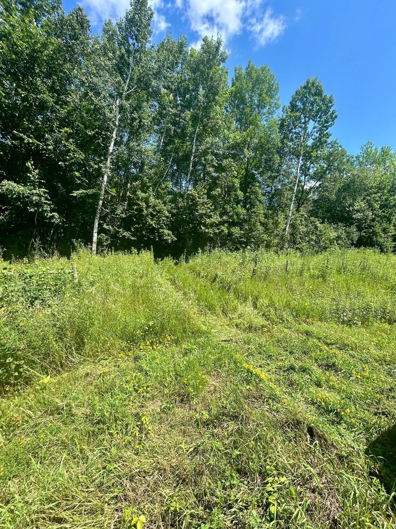 Lot 2 30th Ave, Amery, WI 54001