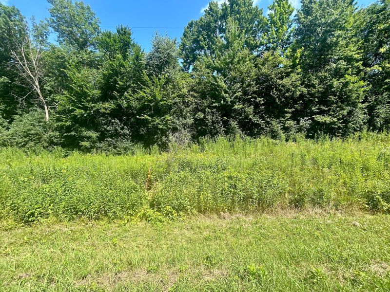 Lot 2 30th Ave, Amery, WI 54001