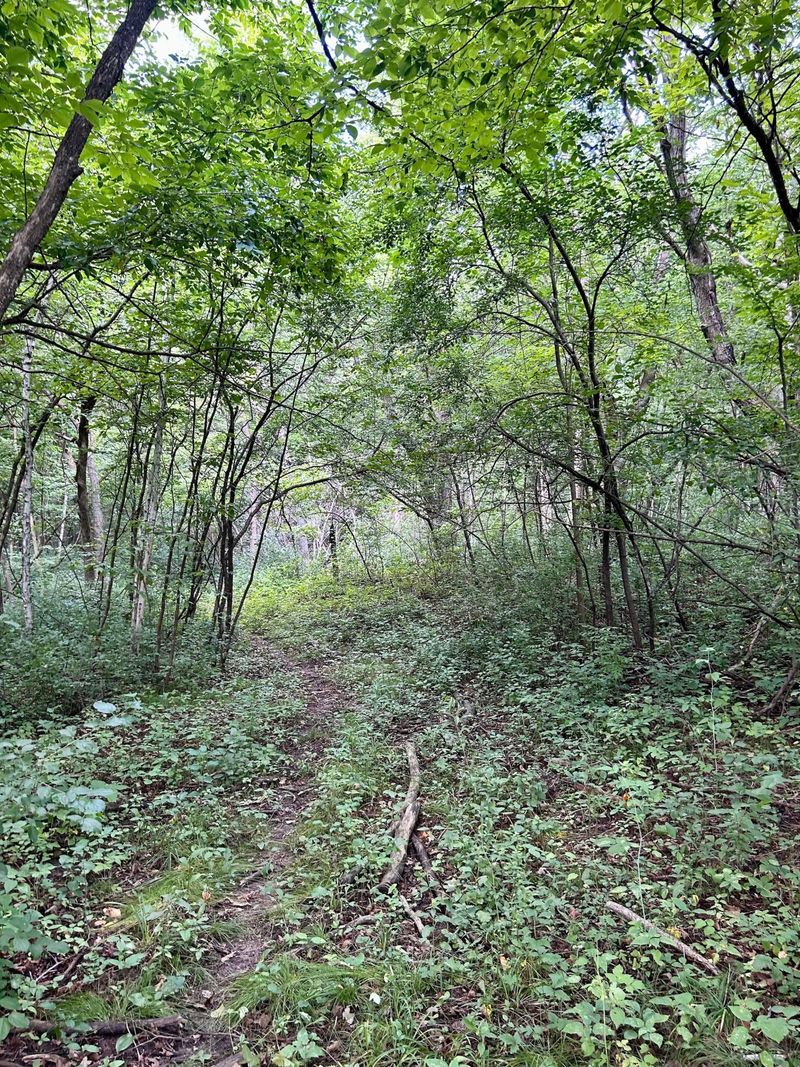 Lot 2 30th Ave, Amery, WI 54001