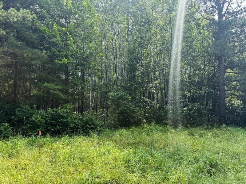000 Sunset Valley Rd, Nisswa, MN 56468