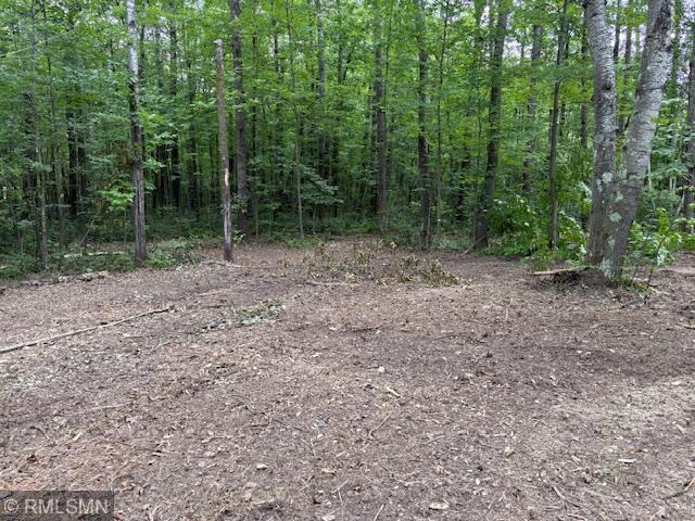 33450 Sportsmans Ln, Brook Park, MN 55007
