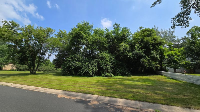 TBD Bluff St, Clearwater, MN 55320