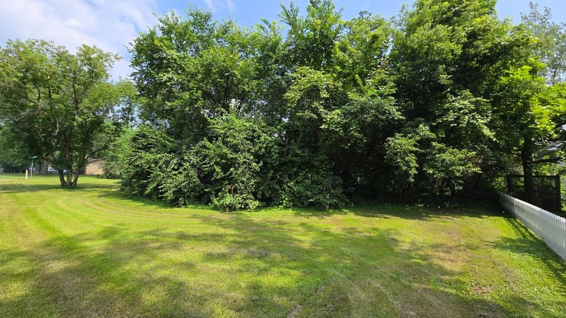 TBD Bluff St, Clearwater, MN 55320
