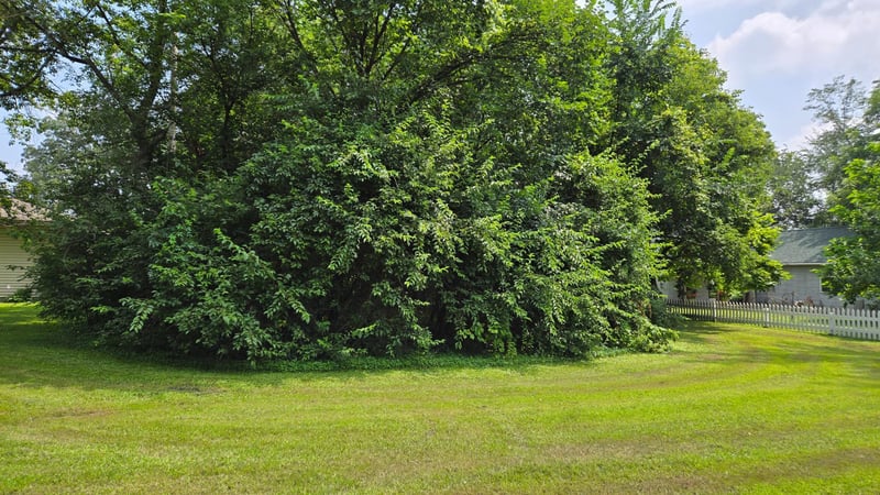TBD Bluff St, Clearwater, MN 55320