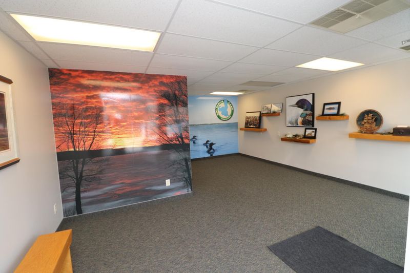 113 State St E, Grey Eagle, MN 56336