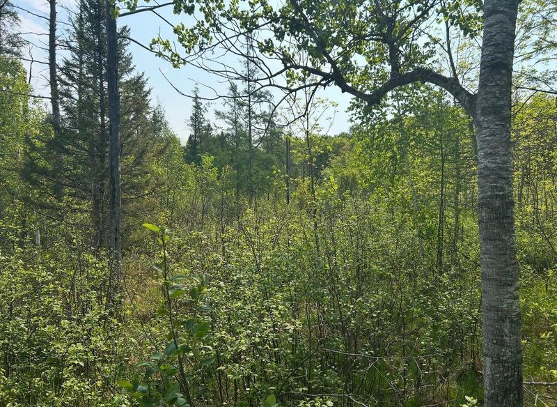 340 State 84 SW, Pine River, MN 56474