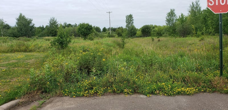 xxx Ashland Ave W, Almena, WI 54805