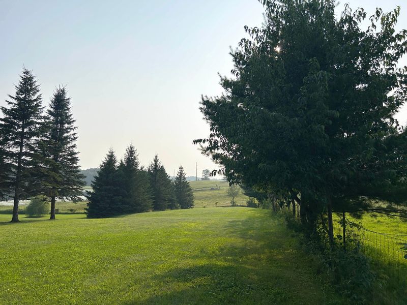 136XX Maple Ln, Deerwood, MN 56444