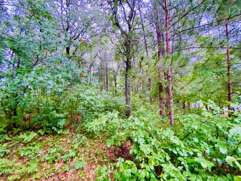0 North Point Dr, Minong, WI 54859