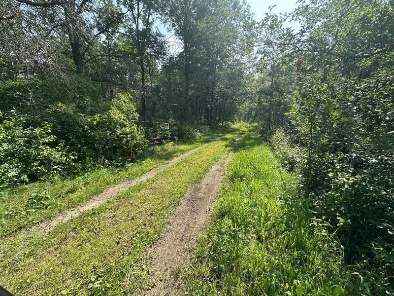 XX County Rd 8, Garrison, MN 56450
