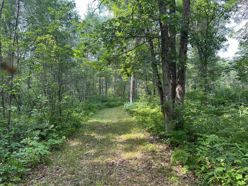 XX County Rd 8, Garrison, MN 56450