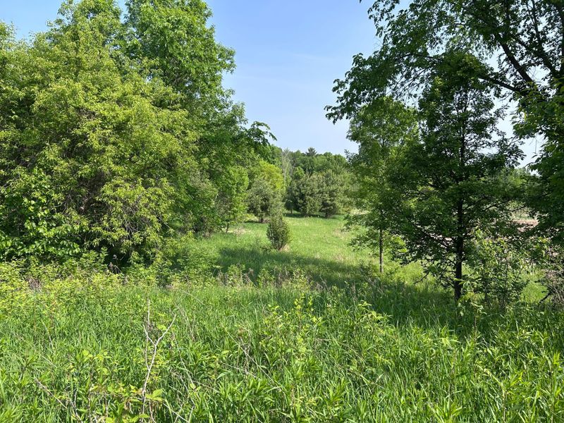 XXX Agate Rd, Frederic, WI 54840
