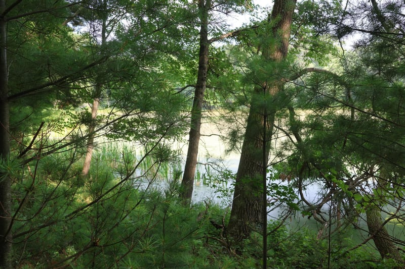 Lot 11 103rd St, Frederic, WI 54837