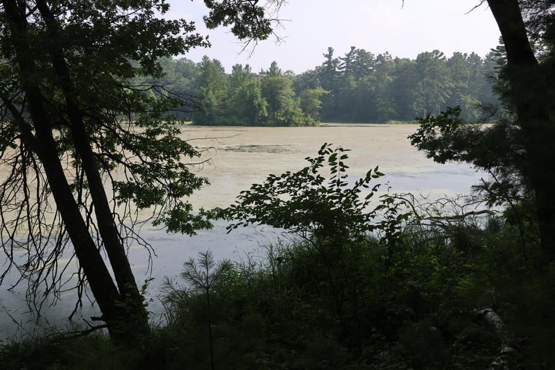 Lot 11 103rd St, Frederic, WI 54837