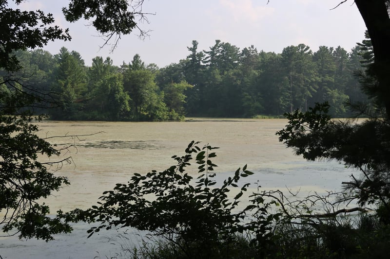 Lot 11 103rd St, Frederic, WI 54837