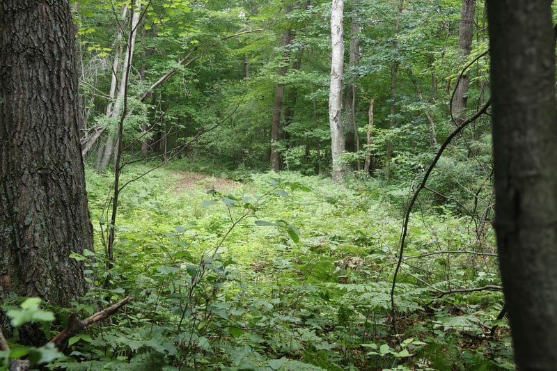 Lot 11 103rd St, Frederic, WI 54837