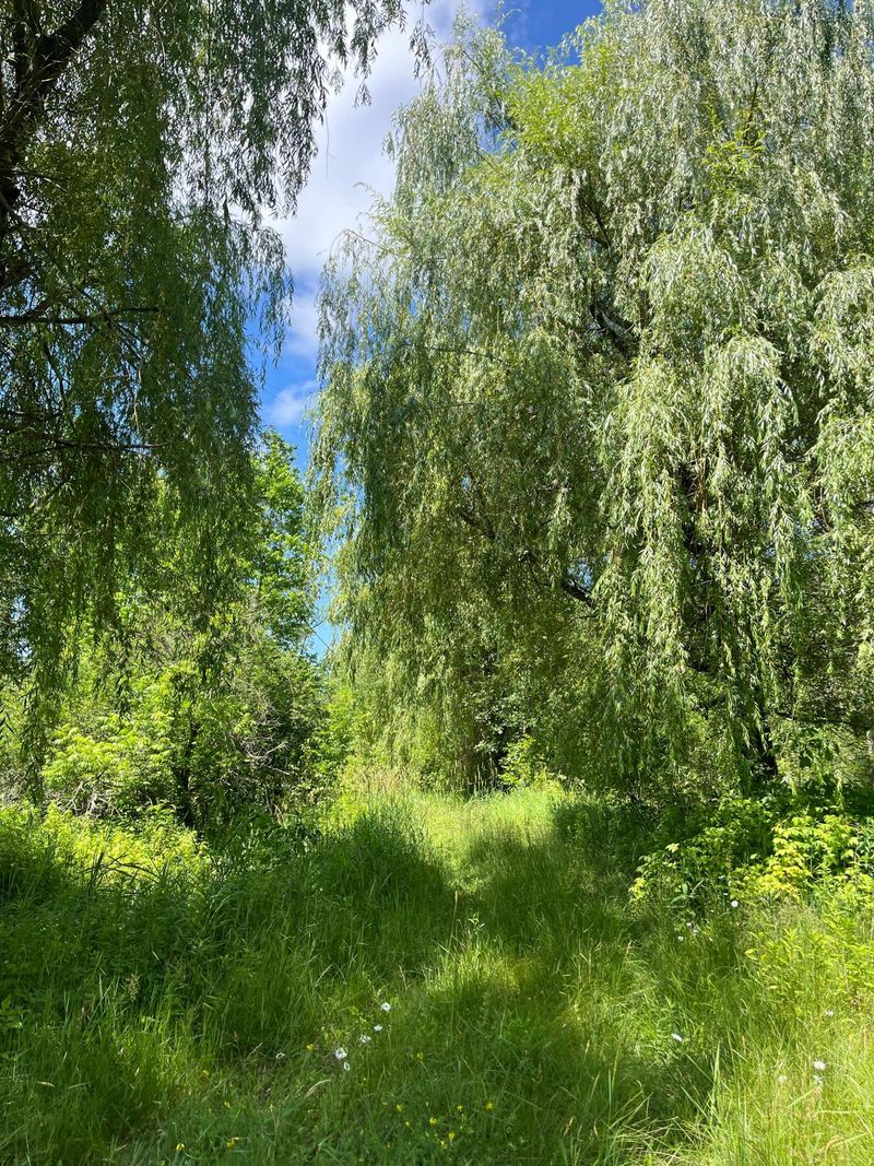 3797 Highway 65, Isle, MN 56342