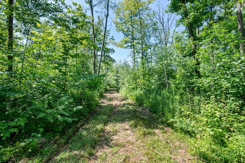 20380 Lake 32 Rd, Barronett, WI 54813