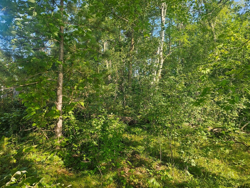 Lot 9 Snow Shoe Cir, Crosby, MN 56441