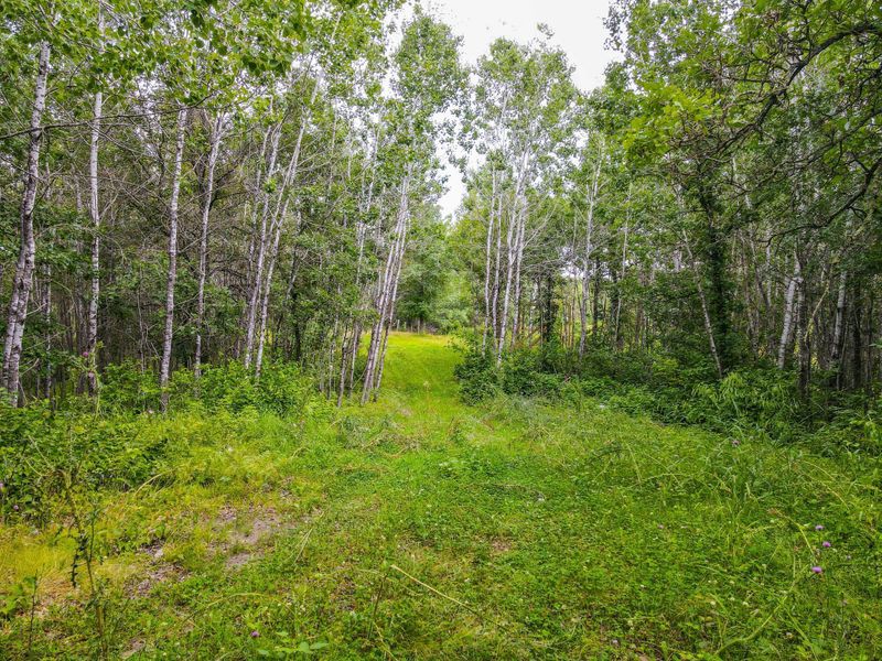 Lot 4 Gasparilla Trl, Park Rapids, MN 56470
