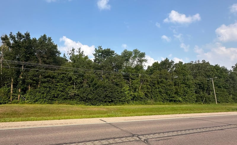 TBD Hwy 29, Parkers Prairie, MN 56361