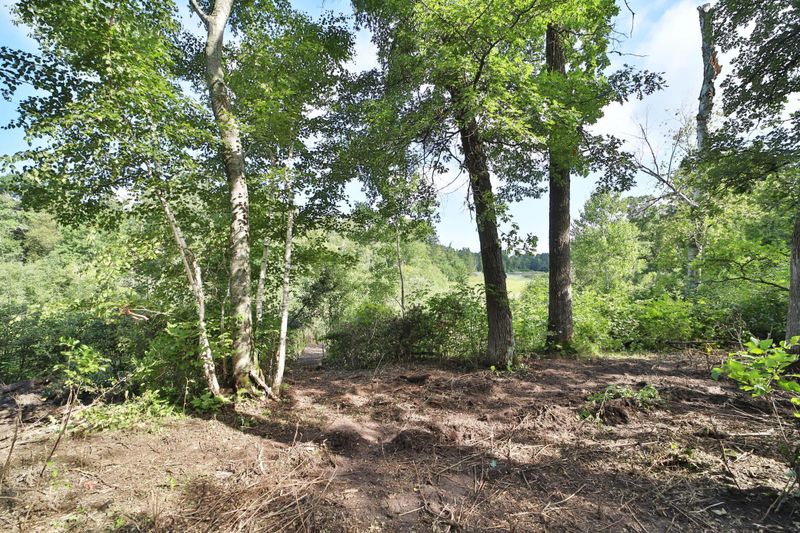 TBD Azalea Rd, Pillager, MN 56473
