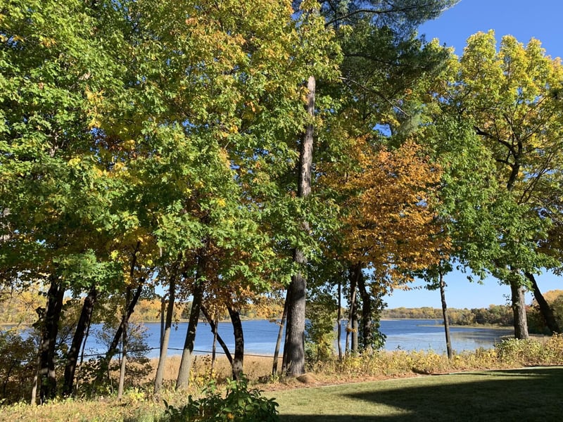 8967 Mariabo Cir, Bloomington, MN 55438