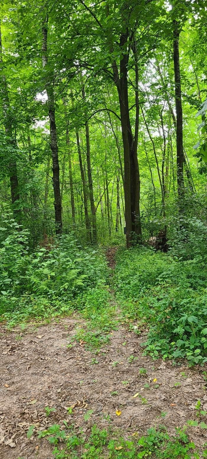 TBD Everready Rd, Pine City, MN 55063
