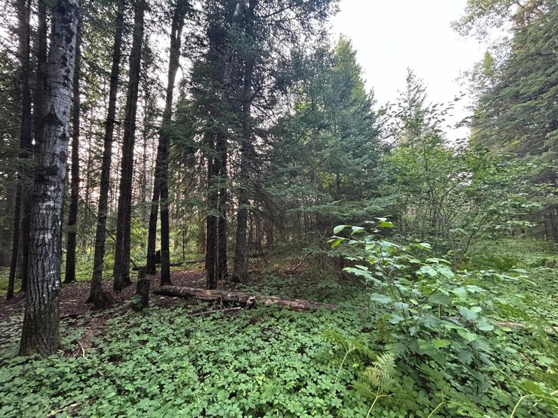 TBD Bodas Rd, Eveleth, MN 55734