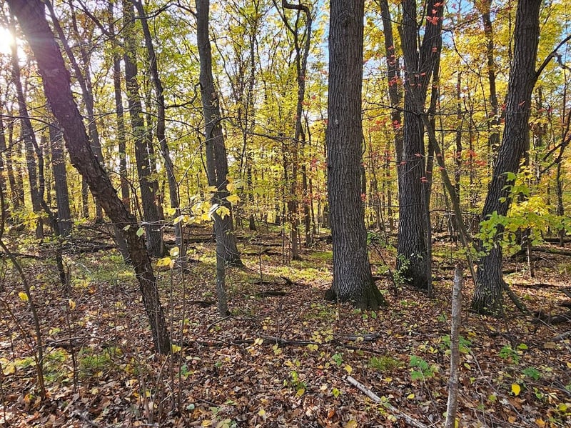 xxx Held Cir, Cold Spring, MN 56320