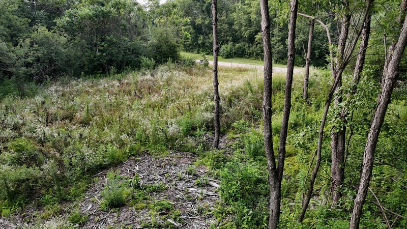 Lot 10 776th Ave, Spring Valley, WI 54767