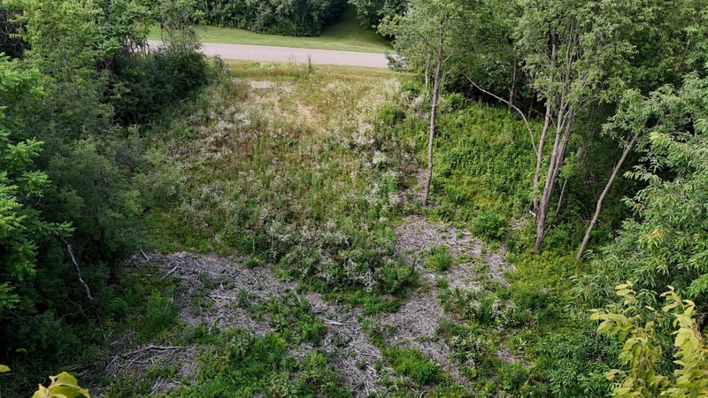 Lot 10 776th Ave, Spring Valley, WI 54767