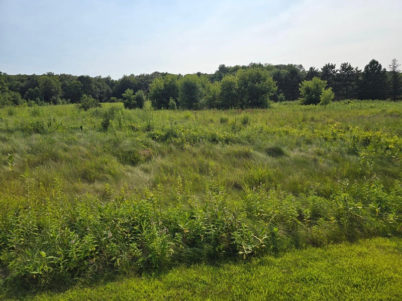 xxxxx 244th Rd, Scandia, MN 55073
