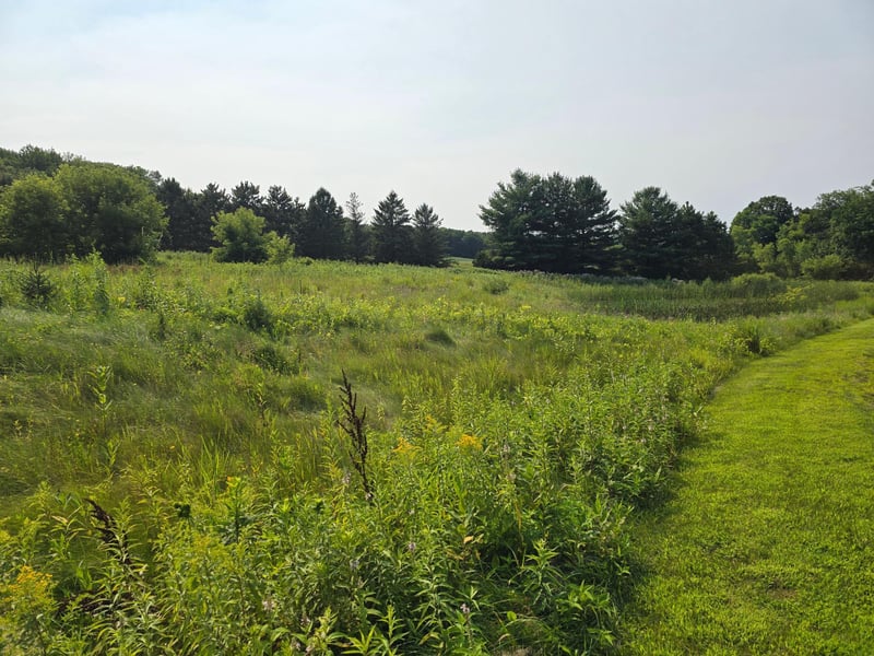 xxxxx 244th Rd, Scandia, MN 55073