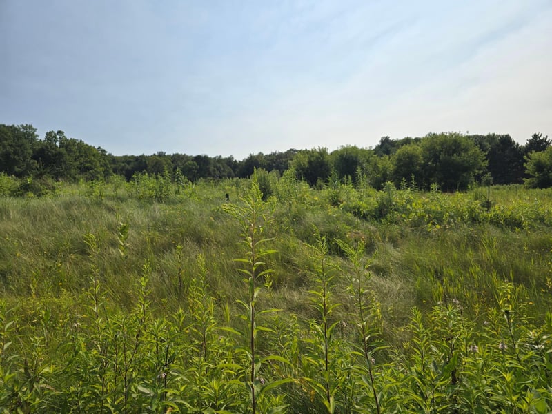 xxxxx 244th Rd, Scandia, MN 55073