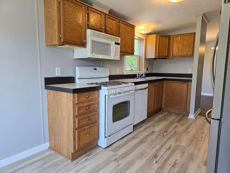 314 Buchannon St S, Waterville, MN 56096