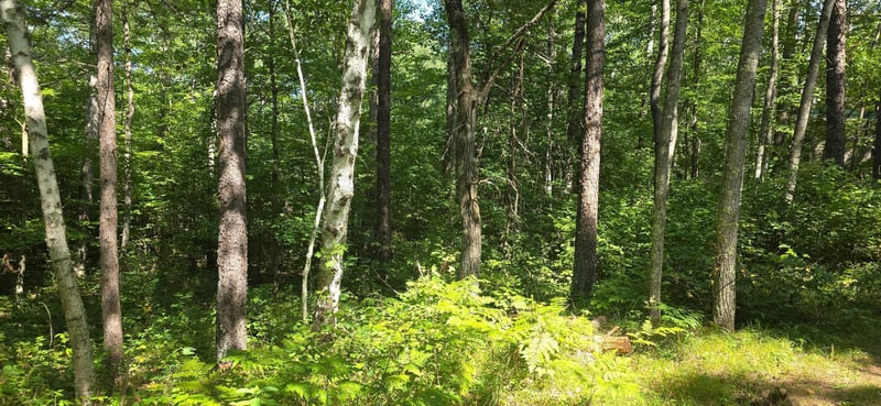 Lot 13 Lot 13 Hide A Way Trl, Webb Lake, WI 54830
