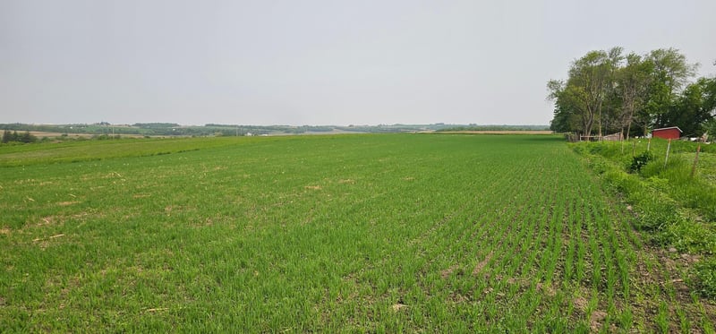 TBD 351st Ave, Harmony, MN 55939