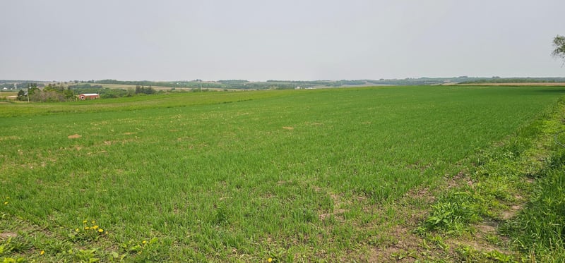 TBD 351st Ave, Harmony, MN 55939