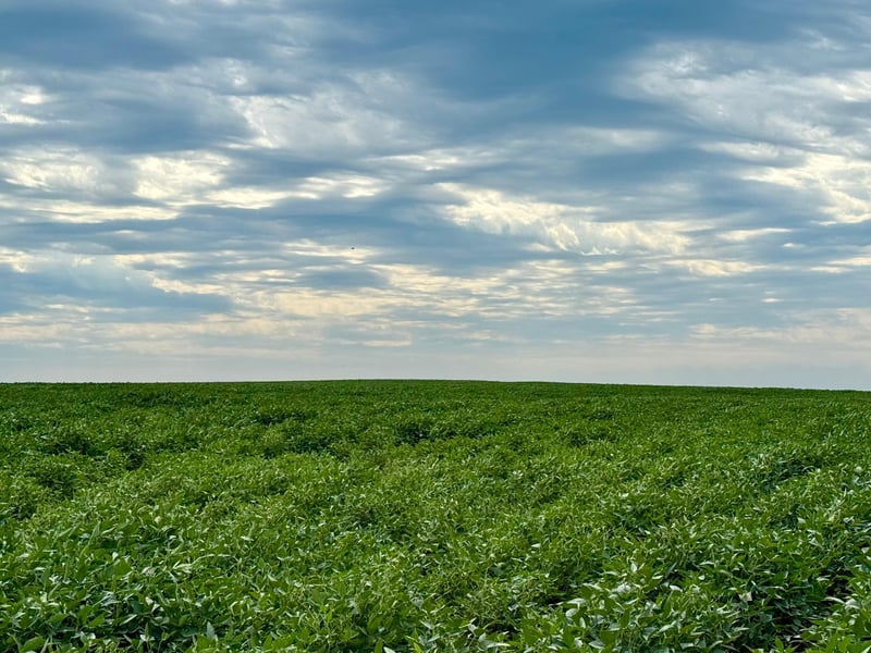 X X, Wabasso, MN 56293